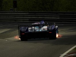 IMG0268.jpg