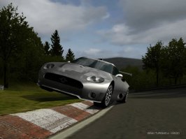 IMG0383.jpg