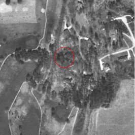 aerial.jpg