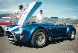 cobra.jpg