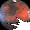 13.gif