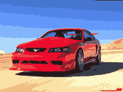 mustang cobra r 2.gif