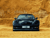 1991_lister_storm-2.gif