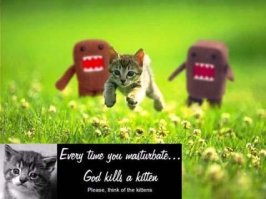 kittens2.jpg