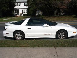 trans am.jpg