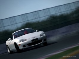 IMG0007.JPG