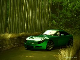 tvr-1.jpg