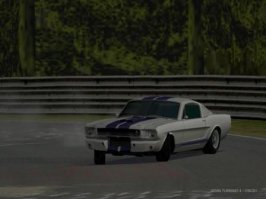 gt43 (7).JPG