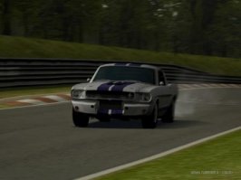 gt43 (4).JPG