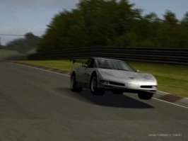 gt43 (13).JPG