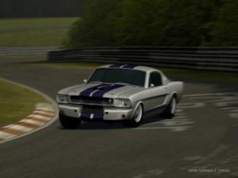 gt43.JPG
