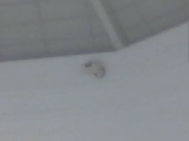 feb27_001.jpg