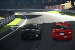 Deep Forest Raceway_4.jpg Deep Forest Raceway_4.jpg