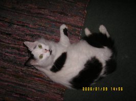 Zukie1.JPG