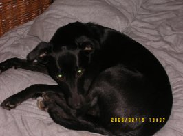 100_0529.JPG