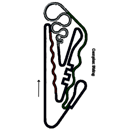 Complexstring.png