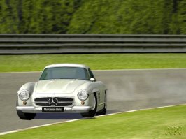 300sl wht 1003.jpg