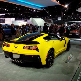 IMG_20151125_131358.jpg