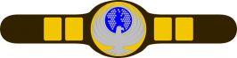 GTPWS Belt.png