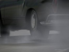 img0083.jpg