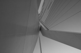 erasmusbrug2.jpg