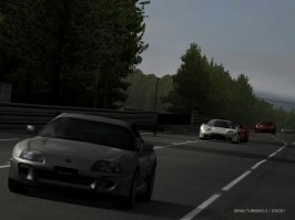 IMG0073.jpg