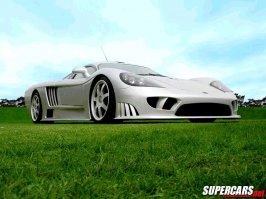 saleen.jpg