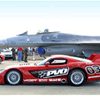 viper1 copy.gif