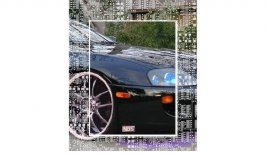 stupid9.jpg