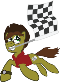 Checkered Flag With Checkered Flag.png