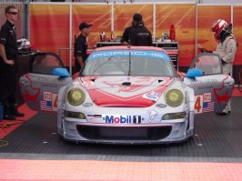 flying lizard.jpg