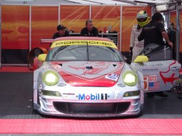 flying lizard 5 .jpg