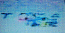 図1.gif