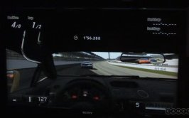 Indy_Shadow.JPG