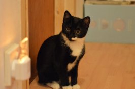 DSC_0115.JPG DSC_0115.JPG