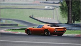 Assetto Corsa_99.jpg