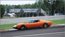 Assetto Corsa_100.jpg