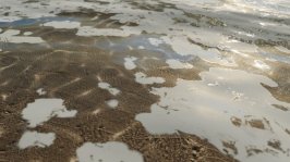 Sea Detail FH3 Demo.jpg