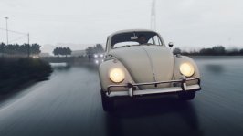 Beetle1 FH2.jpg