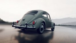 Beetle3 FH2.jpg