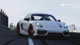 Porsche Cayman_1 FM6.jpg