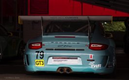 Neal Walker USA GT3 Cup Porsche cpyrt.jpg