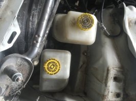 image.jpeg image.jpeg