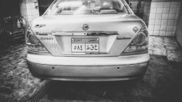 DSC_0087-01.jpeg