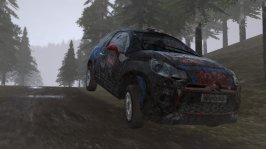 WRC 4 - Wales 9.JPG