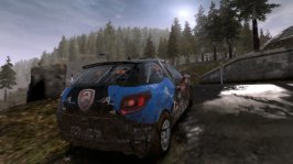 WRC 4 - Wales 19.JPG