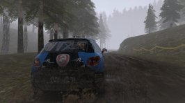 WRC 4 - Wales 7.JPG