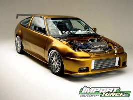 0204it_golden01_zoom.jpg
