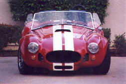 s.cobra_3.jpg