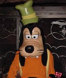 goofy.jpg